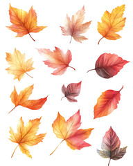 Obraz premium Highly detailed illustrations of various trees, leaves, grasses, and botanical elements, featuring realistic, minimalist, and abstract compositions on a white background.