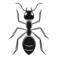 vector illustration of a spider