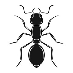 black and white beetle