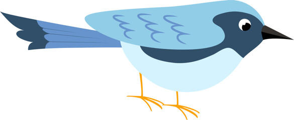 Avian Cartoon Illustration
