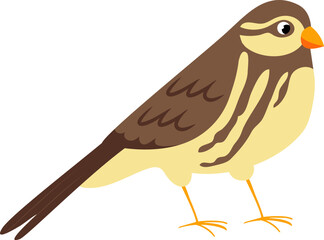 Obraz premium Avian Cartoon Illustration