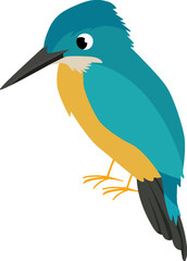 Avian Cartoon Illustration