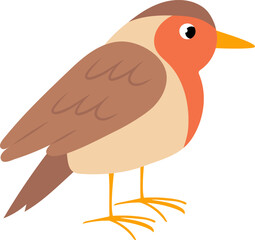 Avian Cartoon Illustration