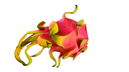 Dragon Fruit with Copy Text Space. Vibrant and Exotic Tropical Fruit Element for Food Packaging, Health Ads, and Summer-Themed Designs. PNG File