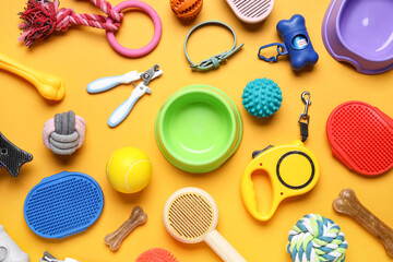 Food bowl and different pet accessories on  orange background