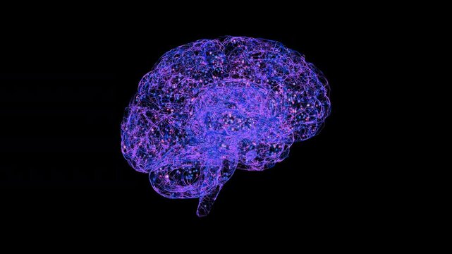 Healthy human brain, animation