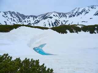 観光名所立山黒部アルペンルートの室堂の雪原とみくりが池の風景