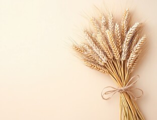 A bunch of wheat stalks arranged on a pale peach background