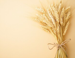 Wheat stalks in a bunch on a pale beige background