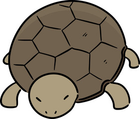 Illustration of turtle
