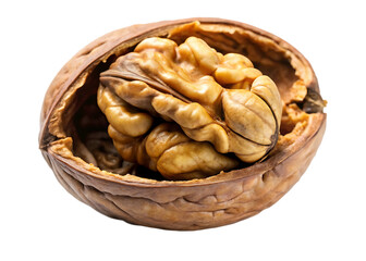  cracked open walnut with visible nut isolated on white background, PNG