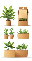 Plant pots and boxes, various greenery