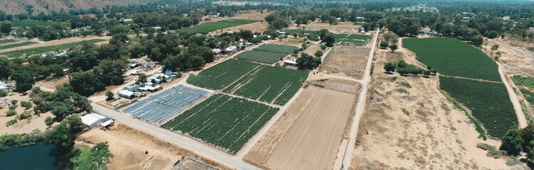 High-angle view of agricultural fields and rural landscape