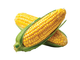 Corn isolated on transparent background