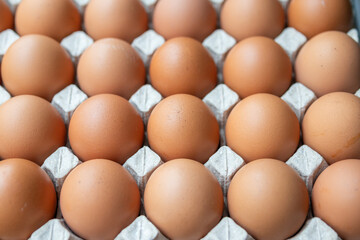 Fresh organic brown chicken eggs in cardboard tray