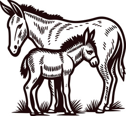 Fototapeta premium Hand drawn engraved donkey with foal standing on grass vintage animal sketch illustration