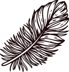 Obraz premium Hand drawn vintage feather illustration with detailed lines and textured shading isolated on white background