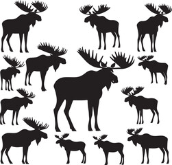Moose Vector In Black and White