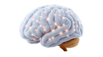 3D illustration of a human brain with glowing neural connections on a transparent background.