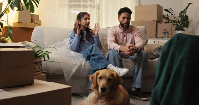 Frustrated couple, conflict and debt with boxes for eviction notice, move or home migration. Fight, man and woman with pet in disagreement or argument for bankruptcy, crisis or house repossession