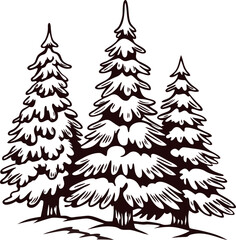 Obraz premium Vintage hand drawn illustration of snow covered pine trees in winter forest on white background