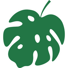 Tropical Monstera Leaf