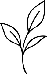 Black outline of a delicate plant sprout with three leaves illustration