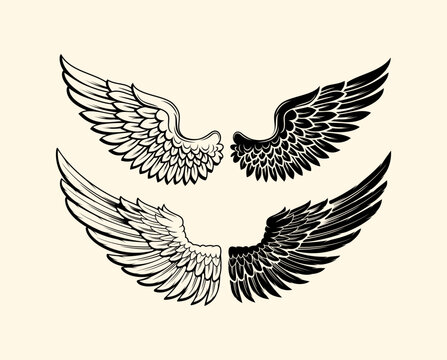 silhouette art of angel wing set for t-shirt elements, editable wings vector, wings angle, black and white, hawk wings, eagle wings, bird, feather, isolated background, wing set for t-shirt elements
