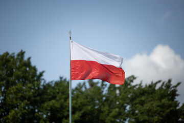 flag of Poland, wave in the wind, 