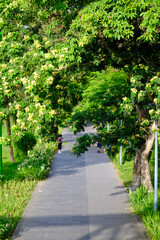 Exploring Hue's precious ancient relics preserved through centuries