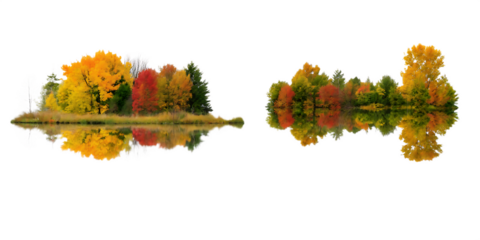 serene landscape showcasing vibrant autumn folia isolated on white background PNG ,ai generated