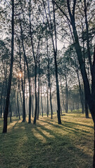 Obraz premium Witnessing the spectacular fireworks display illuminating Han River