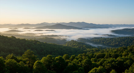 Misty Mountain Sunrise Breathtaking View Scenic Landscape