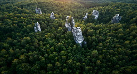 Aerial View of Majestic Rock Formations in Lush Forest