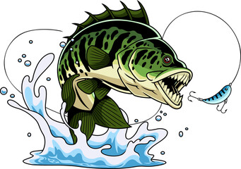 Monster Bass Fish Cartoon Mascot Character with Sharp Teeth Jumping at Lure - Vector Hand Drawn Illustration Isolated On Transparent Background