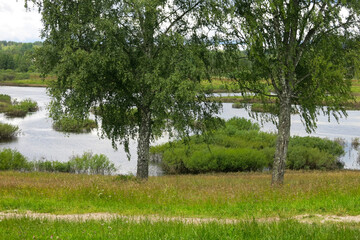 picturesque Russian summer expanses: fields, lakes, forest in Pushkin's Mikhailovskoye estate