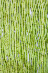 Long beans and decorations on the board