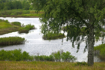 picturesque Russian summer expanses: fields, lakes, forest in Pushkin's Mikhailovskoye estate
