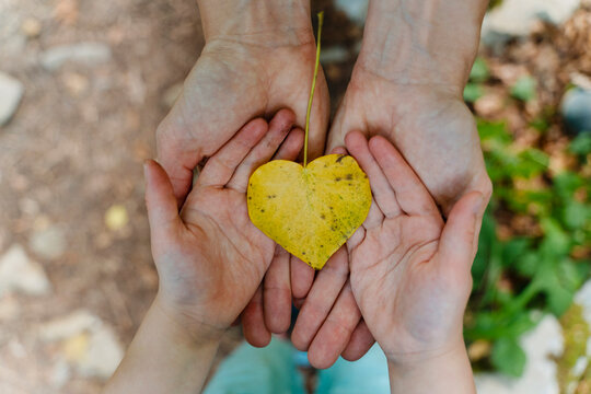 Heart-shaped leaf held by child and mother symbolizing love and family in a forest setting