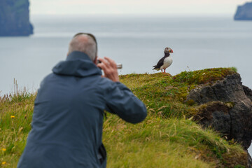 Photographer capturing puffin on cliff edge overlooking ocean