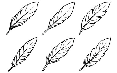 Line Art Feathers:  Elegant, Simple, Black and White Vector Illustrations, Perfect for Design Projects.