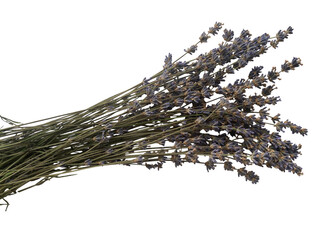 Dried Lavender Stems for Herbal Use – Vintage Botanical Bundle of Purple Blossoms for...