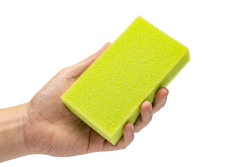 hand holding green sponge isolated in white background