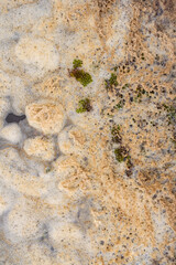 Small bubbles on the surface