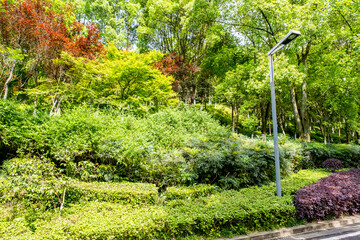Chongqing Garden Expo Park is a thoughtfully designed combination of ecological restoration,...