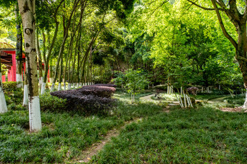 Chongqing Garden Expo Park is a thoughtfully designed combination of ecological restoration,...