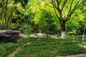 Chongqing Garden Expo Park is a thoughtfully designed combination of ecological restoration,...