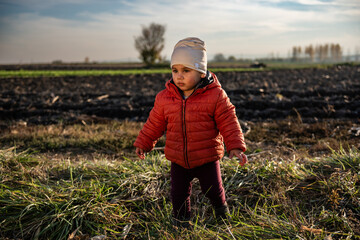 Toddler exploring cultivated field in autumn: discovering nature's beauty