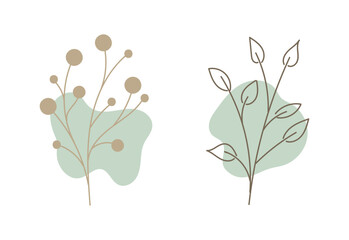 Hand drawn floral lineart with organic shape, Leaves element illustration for design