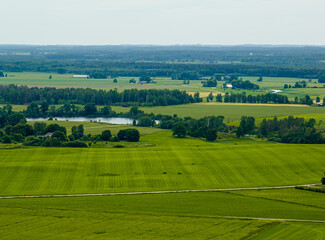 Fototapeta premium Grain fields in the countryside of Zemgale, Latvian nature.